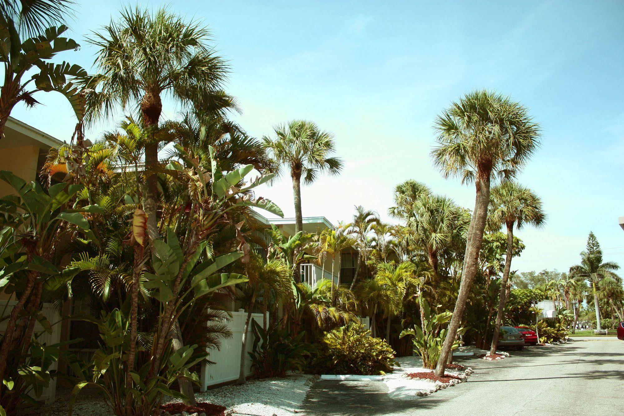 Coquina On The Beach Lido Key  Eksteriør bilde